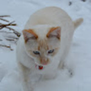 Meet your Posher, Nadine